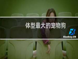 体型最大的宠物狗