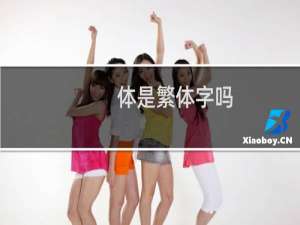 体是繁体字吗