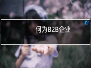 何为B2B企业