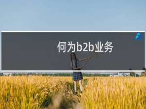 何为b2b业务