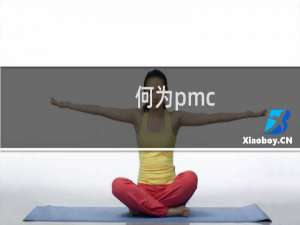 何为pmc