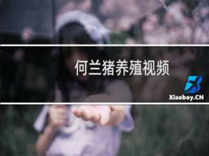 何兰猪养殖视频