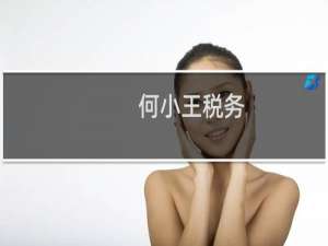 何小王税务
