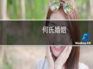 何氏婚姻