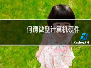 何谓微型计算机硬件