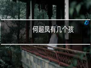 何超凤有几个孩