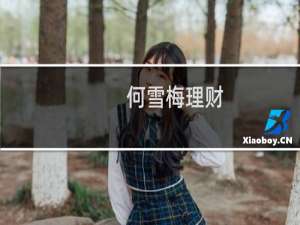 何雪梅理财