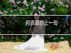 何须酒的上一句
