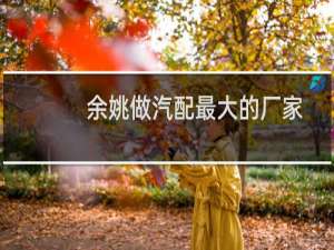 余姚做汽配最大的厂家