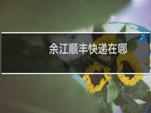 余江顺丰快递在哪