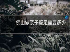 佛山做亲子鉴定需要多少钱