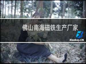 佛山南海磁铁生产厂家