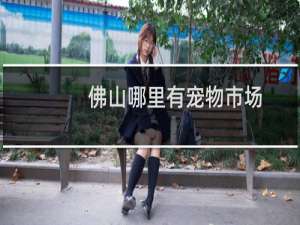 佛山哪里有宠物市场