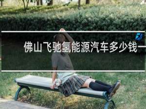 佛山飞驰氢能源汽车多少钱一辆?