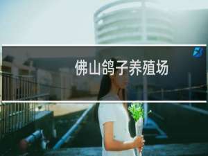 佛山鸽子养殖场