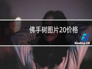 佛手树图片 价格
