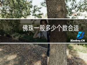 佛珠一般多少个数合适