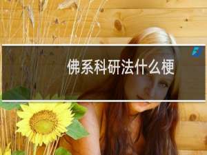 佛系科研法什么梗