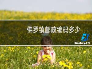 佛罗镇邮政编码多少