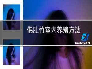 佛肚竹室内养殖方法