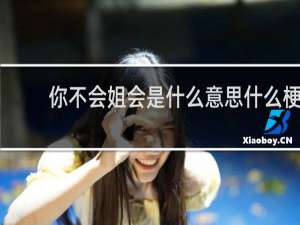 你不会姐会是什么意思什么梗