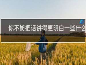 你不妨把话讲得更明白一些什么梗