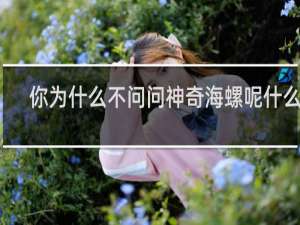 你为什么不问问神奇海螺呢什么梗？你为什么不问问神奇海螺呢是什么意思什么梗