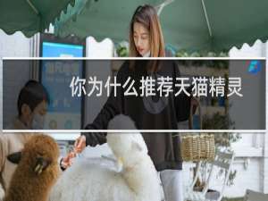 你為什么推薦天貓精靈