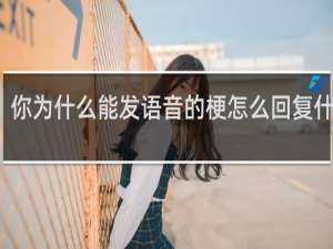 你为什么能发语音的梗怎么回复什么梗