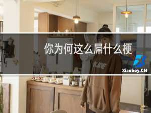 你为何这么屌什么梗