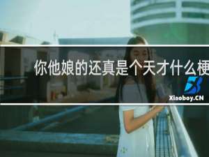 你他娘的还真是个天才什么梗