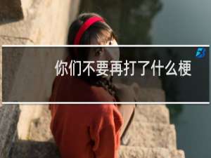 你们不要再打了什么梗