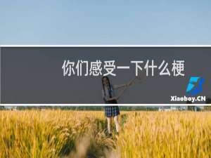 你们感受一下什么梗？你们感受一下是什么意思什么梗