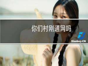 你们村刚通网吗？什么梗