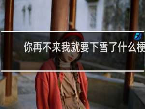 你再不来我就要下雪了什么梗