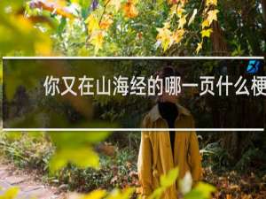 你又在山海经的哪一页什么梗，你又在山海经的哪一页是什么意思？什么梗