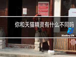 你和天猫精灵有什么不同吗