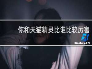 你和天猫精灵比谁比较厉害