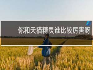 你和天猫精灵谁比较厉害呀