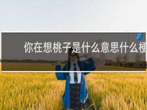 你在想桃子是什么意思什么梗