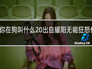 你在狗叫什么 出自耀阳无能狂怒什么梗