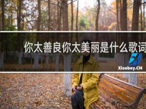你太善良你太美丽是什么歌词
