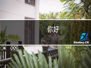 你好。进期我多个网站推广遭百度拒绝，