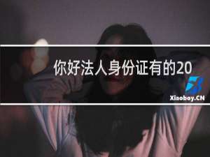 你好法人身份证有的  法人就是网站负责人