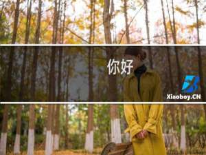 你好，为什么没有备案信息了