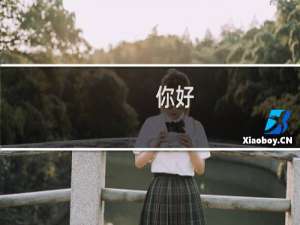 你好，域名解析过来了，但是没法添加白名单，麻烦帮看看呢！