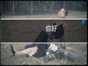 你好，我修改第二个网站的名字能不能提交呢