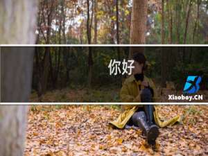 你好，网站有个地方时不时的打开会慢