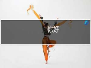 你好，请问以下公司主体进行网站备案需要提供特殊的证书吗。