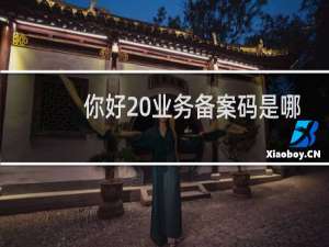 你好 业务备案码是哪里来的